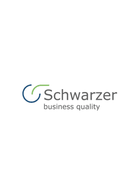 Bild oder Logo des Eintrags Six Sigma 
