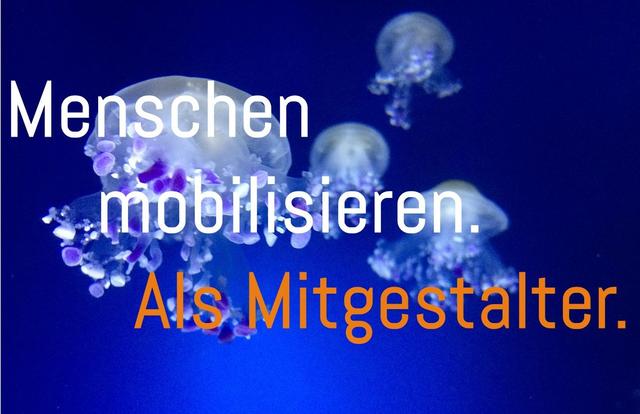 Bild oder Logo des Eintrags Lebendige Workshops