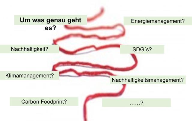 Bild oder Logo des Eintrags Der rote Faden