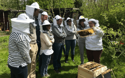 Bild oder Logo des Eintrags Bienenpatenschaft